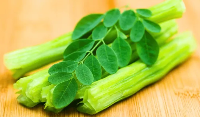 moringa-powder-organic