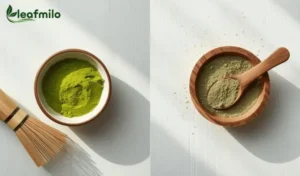 Moringa vs. Matcha: Which Green Powder Wins in 2026?